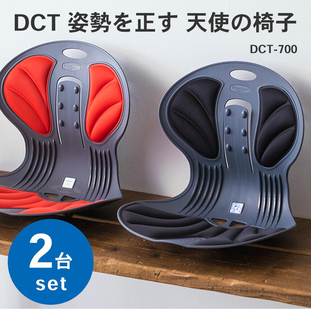 【あす楽】【送料無料】【2個セット】DCT 姿勢を正す 天使の椅子 姿勢矯正イス てこの原理を利用した高弾力素材 2台セット