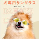 犬も長寿の時代、愛犬の目を心配する飼い主さんにオススメしたい、犬用サングラス。 ■犬の目の構造は人と同じ 犬の目の構造は「角膜」「水晶体」「網膜」で構成されています。 これは人と同じ構造です。 目は紫外線の悪影響を受けるというのも犬も人も同様です。 犬であっても紫外線対策が必要です。 特に真夏の散歩中の照り返しは人間以上！ ■ファッションアイテムではない、本気のUVサングラス 犬のサングラスはSNSなどで投稿したくなるほどカワイイペットのファッションアイテムです。 しかし、この犬用サングラスは目を保護することを目的とした、本気のUVカットサングラスです。 紫外線UVとブルーライトがしっかり遮断されます。 ■人間工学ならぬ”犬工学”専用設計 犬の鼻先、目の位置、間隔。これを徹底的に研究し、人間用とは異なる独特の形状のフレームが完成しました。 また、固定は頭部とあご紐式のバンドを採用し、犬が嫌がらないよう顔の下部で固定します。 たれ耳、立ち耳、丸顔、細顔、様々な犬種に対応します。 ■おもちゃではないサングラス　でも見た目もキュート 犬専用サングラスはおもちゃではありません。本気のUVカットサングラスです。 でも、愛犬が一層愛くるしくなります。 Point01) メガネ専門家が作った愛犬の視野角カスタムフレーム Point02) 犬専用フレームは生産効率も悪い反面、良品で丈夫な製品になりました Point03) 愛犬の肌に無害なステンレス素材。肌がデリケートなペットにも安心して着用できます Point04) ゴーグルタイプよりかけ心地が軽量なメガネタイプ Point05) 「たち耳タイプ」も「たれ耳タイプ」も両方フィットする万能型 Point06) 別売りのカラーレンズを好感して様々なスタイルが楽しめる ≫交換用レンズはこちら犬専用に設計されたサングラス。 ファッション性のおもちゃとは一線をひいた、本気のUVカットレンズと犬専用フレーム。 犬の顔の形状を解析して最適化したフレームと固定バンド。 暴れても落ちないバンド式。