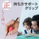 【メール便限定・送料無料】ペン持ち方サポートグリップ FF-PENTA-01 鉛筆グリップ ペングリップ 手書き トレーニング 筆記補助 子供 幼児 就学前 学...