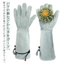 園芸用手袋 ロング トゲ 薔薇グローブ 長袖 バラ レディース 薔薇用手袋 作業 メンズ バラ用 とげ防止 バラグローブ バラ手袋 ガーデニンググローブ 園芸 ...