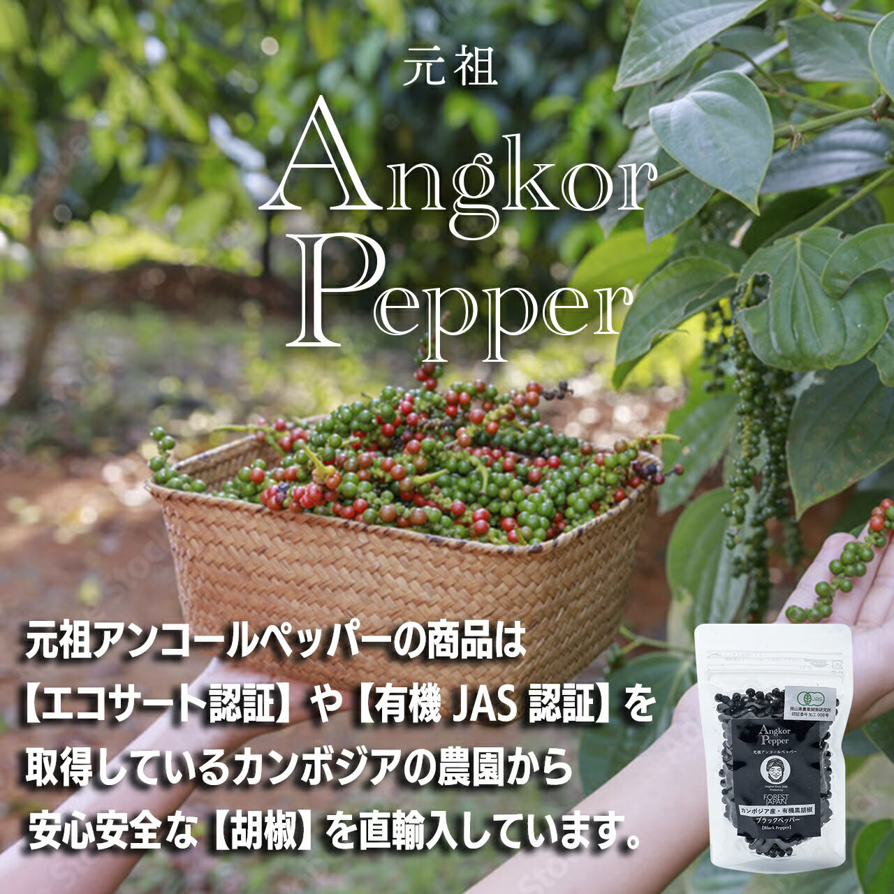 �����󥳡���ڥåѡ� γ �ڡ����� �ڡ����Ȥ���̣ ��ܥ �֥�å��ڥåѡ� ����ܥ����� Ĵ̣�� �������祦 γ�Τޤ� �� ��ܥ ����ܥ ����ܥ�α��Ҥ�