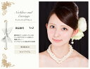 ネックレス＆ピアス，結婚式，パーティー，アクセサリー，ウエディング，存在感ある胸元でよりエレガントに★