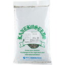 ヒマワリ サンゴールド わい性 1kg (100g×10袋) カネコ種苗 日葵 種 日葵 種子 ヒマワリ 種 ヒマワリ 種子 花 種 花 種子 花の種 景観用 種 景観用 種子