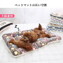 ペットベットペット ホットカーペット適用 ペット用 ペット用ヒーター猫ベッド 犬 猫犬用 寝床用品 犬猫兼用61*41cm上等品 多色 秋冬 暖か 肌触り 寝具 寒さ対策 保温性 柔らかい 洗いやすい クリスマスプレゼントオススメ!