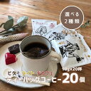 【5/3 0:00～ 10％OFFクーポン】 ティーバッグコーヒー 10g 2種類×各10個 20杯 アソート デカフェ も選べる カフェインレス 飲み比べ 珈琲 コーヒー ディップスタイル ティーバッグ ティーパック ドリップバッグ ドリップコーヒー 高級 おしゃれ 送料無料