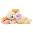 クッキーアン ぬいぐるみ ダッフィーのスウィートドリームス 2021 【パーク】Duffy’s Sweet Dreams グッズ お土産(3)