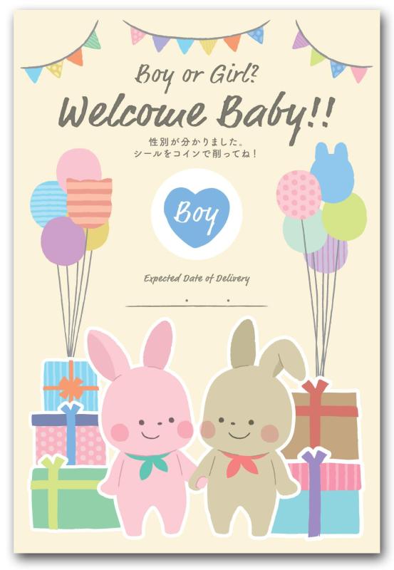 ジェンダーリビール カード 男の子 女の子 事前購入 性別 発表 3枚セット うさぎ