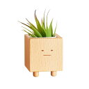 TOSMU ボーちゃん 植木鉢 かわいい ミニ 木製 鉢植え 7cm×7cm 陶器 木 天然木 ナチュラル おしゃれ 室内 おうち花見 7010