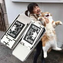 網戸ロック 窓 ロック 猫が脱出を諦める 網戸ストッパー 猫 網戸脱走防止 窓ストッパー 転落防止 防犯対策 子供 サッシ窓補助錠 左右対称デザイン 子供安全ロック 窓用 防犯ロック サッシ(4)