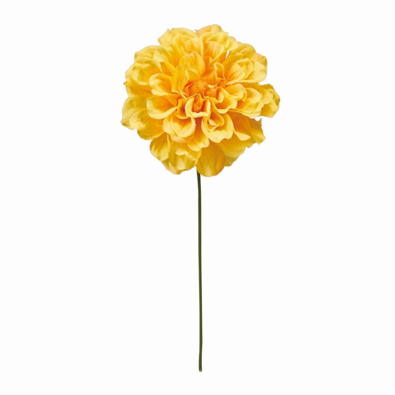 ���Ʋ ¤�� �ץ饤����ꥢ�ԥå�