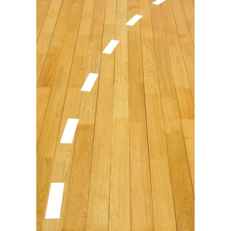 ���ƥ�(molten) �饤��ơ��� �����ơ��� ���Ʃ�� TP1035-WC