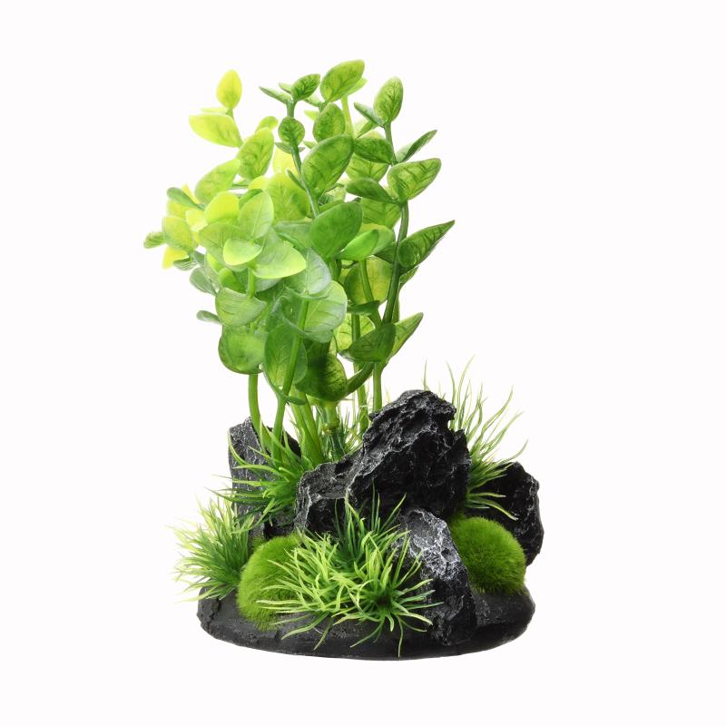 ジェックス 癒し水景 アクアキャンバス ロタラ