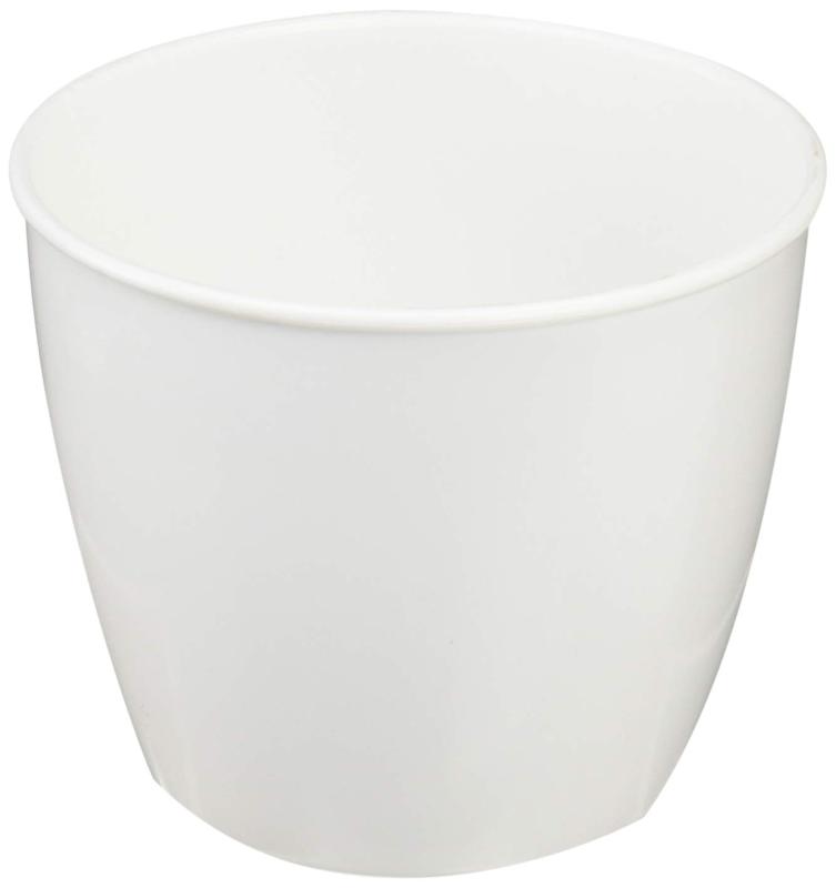 ���¥ץ饹���å� �ץ��ȥݥå�