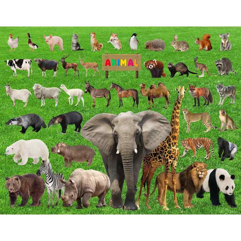 CHengQiSM パズル 100 ラージピース ジグソーパズル