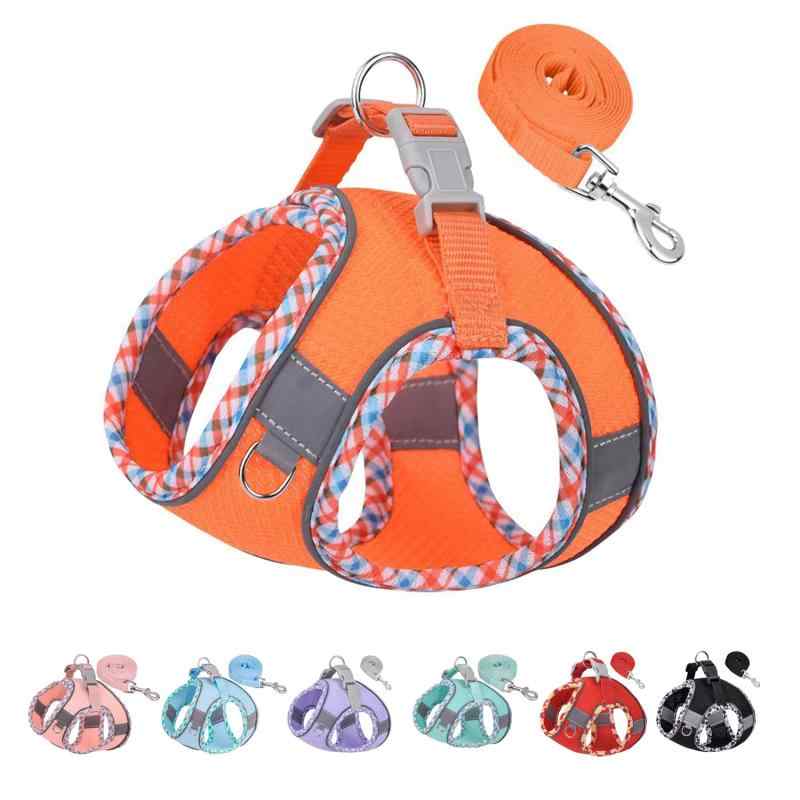 ڥåѥϡͥ Ķ淿 ԡ˥󥰡ȥ졼˥󥰤 ѥ٥ȥåդ 淿