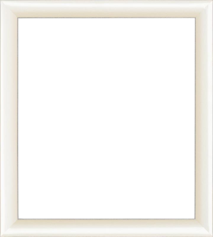 色紙額縁 パール色系 UVカットアクリル仕様 自立壁掛け両用 樹脂製 スラッシュ7919(2.0)