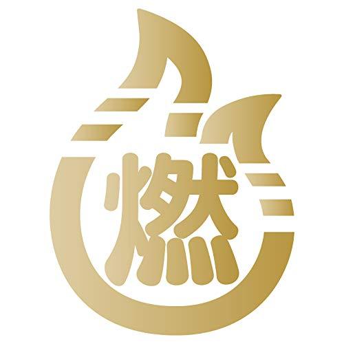 nc-smile ゴミ箱用 分別 シール ステッカー 燃える ゴミ 可燃 ごみ Lサイズ Ver2