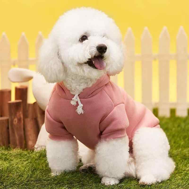 ペット服 ペットウェア 犬 猫 男の子 女の子 外套 カジュアル 2本脚 加絨 防寒 保温 スウェット パーカー オールシーズン