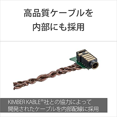 ���ˡ� ���������ޥ� 256GB WM1���꡼�� NW-WM1ZM2:����ɥ��������/USB-TtpeC�����֥��б�/DSDDSD 11.2M