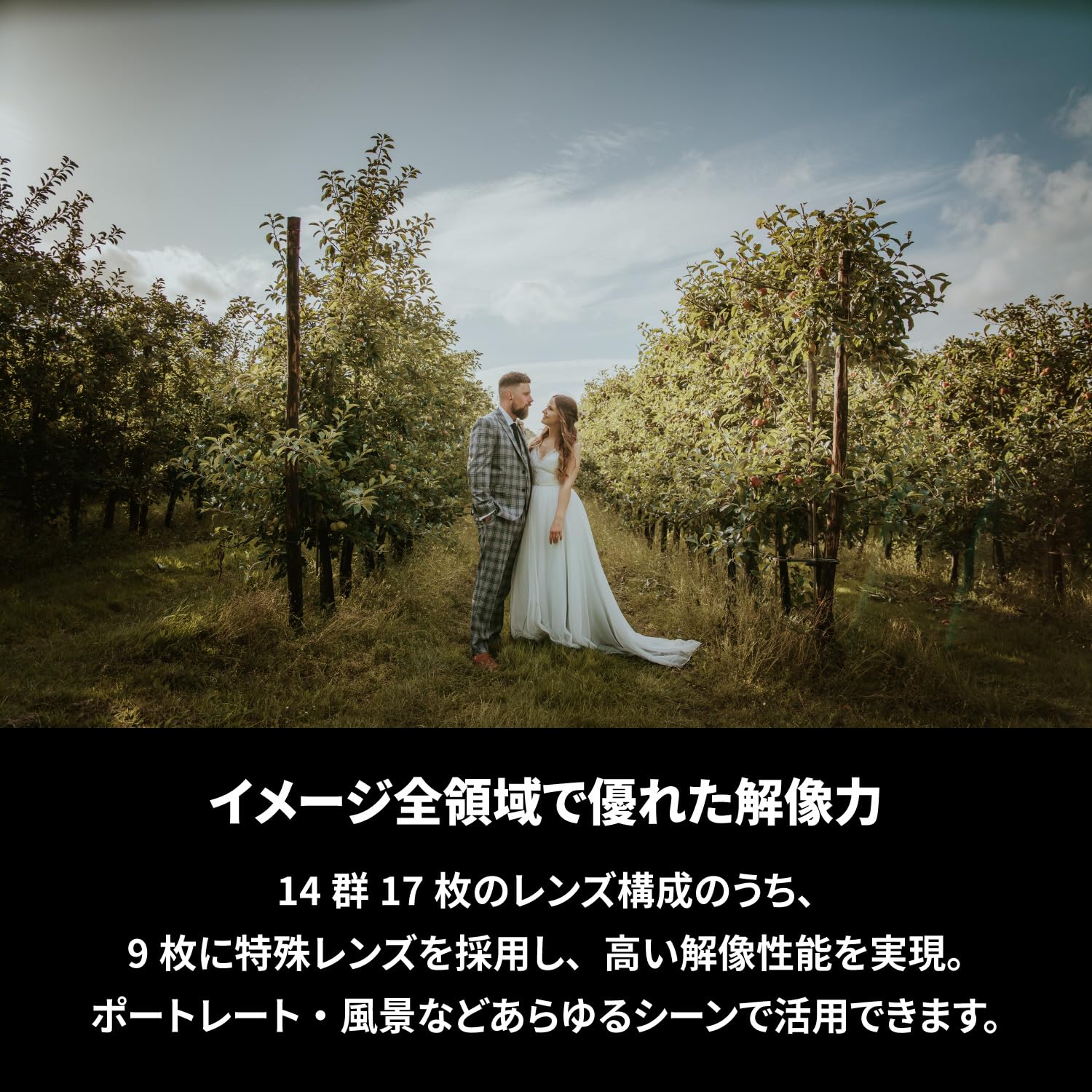 SAMYANG 標準ズームレンズ AF 24-70mm F2.8 FE ソニーαE用 フルサイズ対応 最短撮影距離 35cm ウェザーシーリング