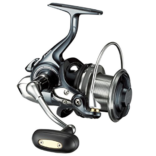 ダイワ(DAIWA) スピニングリール(投げ・遠投) 18 パワ