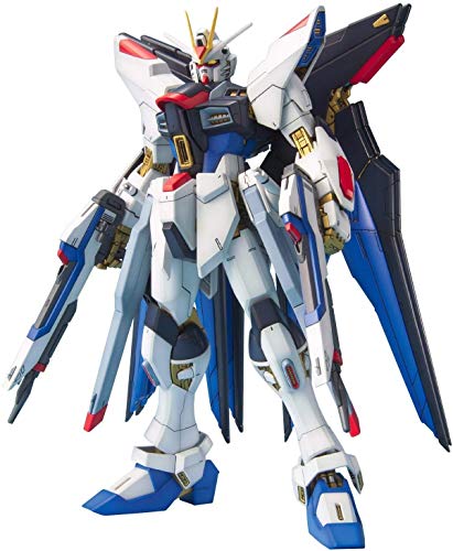 Other - MG 機動戦士ガンダムSEED DESTINY ストライクフリーダムガンダム 1/100スケール 色分け済みプラモデル