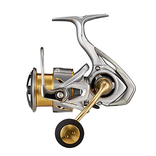 ������(DAIWA) 21 �ե꡼�ॹ LT4000-C
