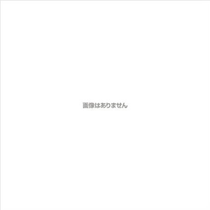 formanismのパナソニック 4倍速ブルーレイディスク片面1層25GB(追記型)20枚P LM-BR25LP20｜アングル2