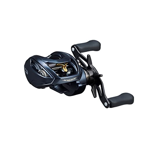 Other - ダイワ(DAIWA) ベイトリール STEEZ(スティーズ) AII TW 1000L 2022年モデル ブラック