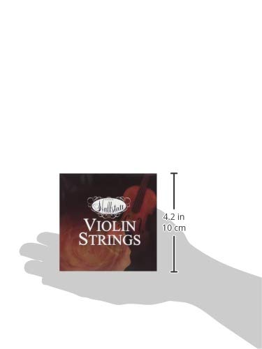 Hallstatt �ϥ륷�奿�å� ����������� ���å� HV-1000