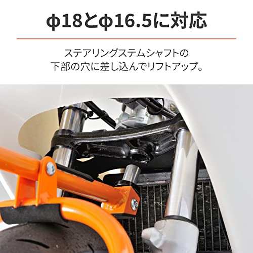 �ǥ��ȥ�(Daytona) �Х����� ���ƥʥ󥹥������ �ե������ �ߥ˥Х���(12������ۥ�����)���� �����ץ���2����° �ե���ȥ�����