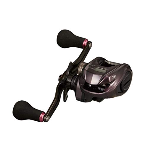 ������(DAIWA) 21 �Ȳ� IC 150