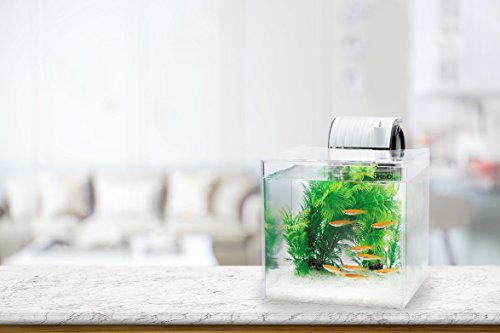 テトラ (Tetra) テトラ プラスチック ...の紹介画像3