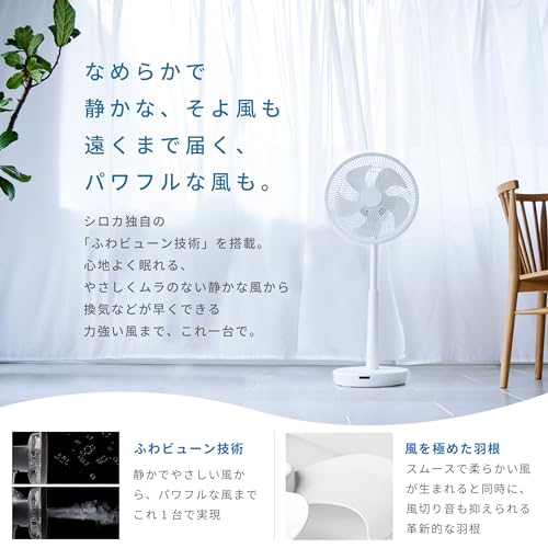 ������ DC������� ��������졼���������� SF-V191(K) �֥�å� �������Υݥ������� 2024ǯ��ǥ� [������/����ǧ����ǽ/����