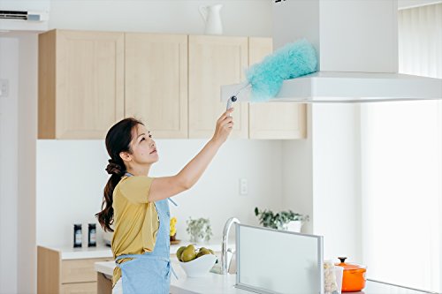 ���껺��(Yamazaki Sangyo) �ۤ���ʧ�� �ϥ�ǥ� 2989.jp+ �ࡼ��������� �󿶤� ����Ĵ�� F EX 181018