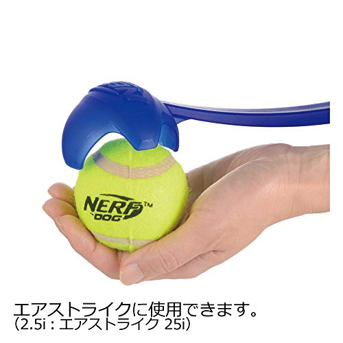 ��å����� ���Ѥ������ �ʡ��եɥå� �ƥ˥��ܡ��� 2.5i(4P)