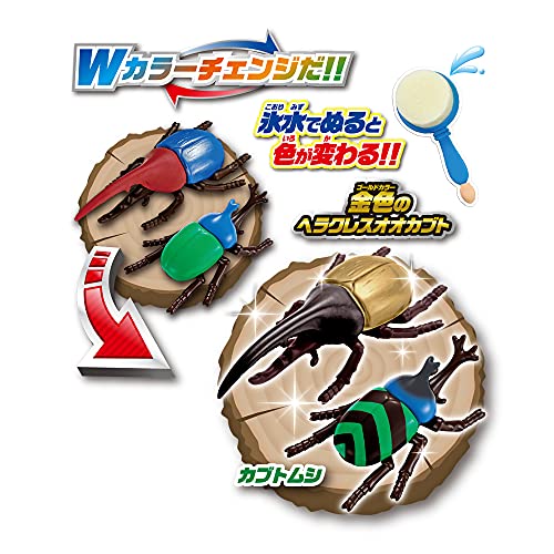 パイロットコーポレーション かえちゃOh!! まほうのカブトムシ&クワガタ