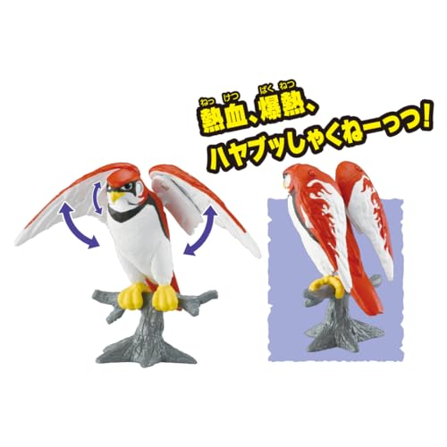 formanismのタカラトミー アニア 冒険大陸 アニアキングダム ハヤテ (ハヤブサ) 動物 恐竜 おもちゃ 3歳以上｜アングル3