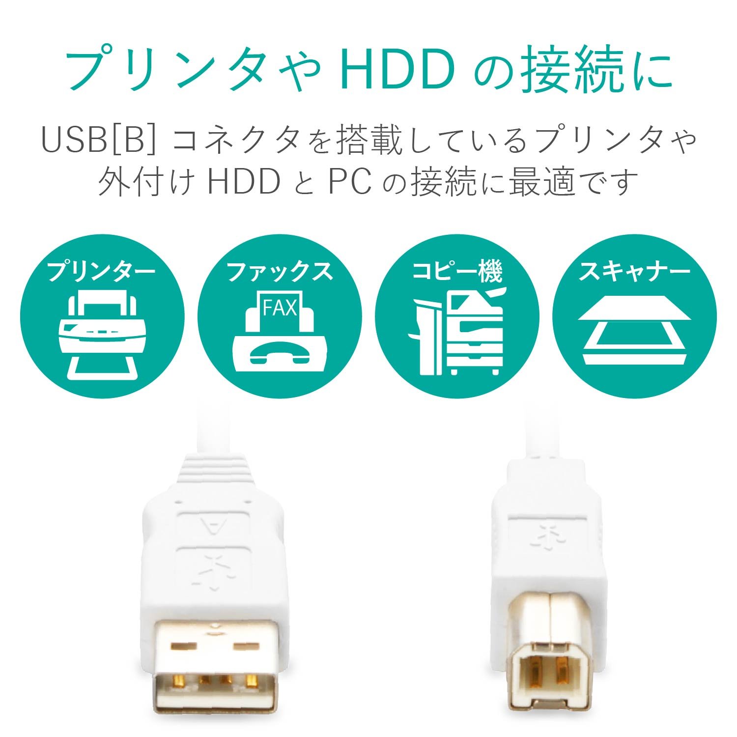 エレコム USBケーブル 【B】 USB2.0 (USB A オス to USB B オス) RoHS指令準拠 1m ホワイト USB2-ECO