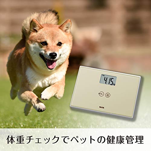 ���˥� �νŷ� CA-100A IV �ڥåȤ����ä����ƤϤ���� �����ܥ꡼