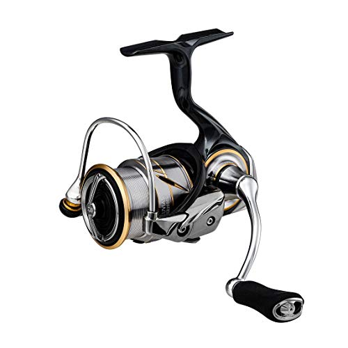 DAIWA - ダイワ(DAIWA) スピニングリール 20 ルビアス FC LT2000S-XH(2020モデル)