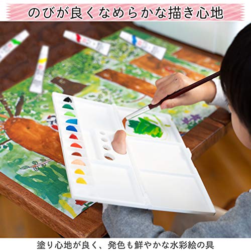 SAKURA サクラクレパス 絵の具 マット水彩 ラミネートチューブ 24色セット EMW24