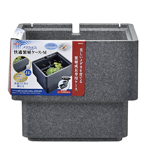 GEX �����å��� ��������� ��Ŭ���˿������� M