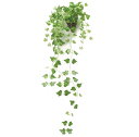 インテリアグリーン 造花 観葉植物 光触媒 フェイクグリーン つる ツタ 壁掛け (かわいい 籐ポット入り)(3)