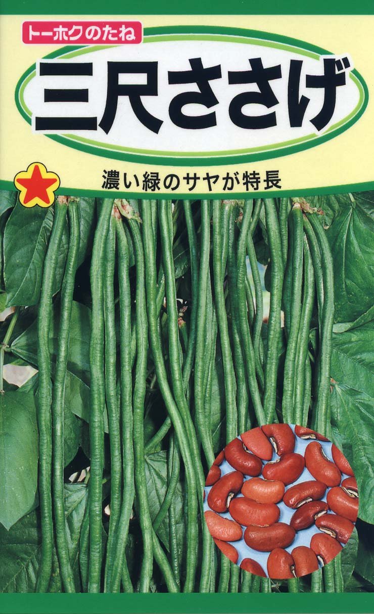 三尺ささげ 種 7.5ml 春まき 野菜の種 ササゲ 豆類 家庭菜園 園芸 発芽率80% ガーデニング 種子 栽培用