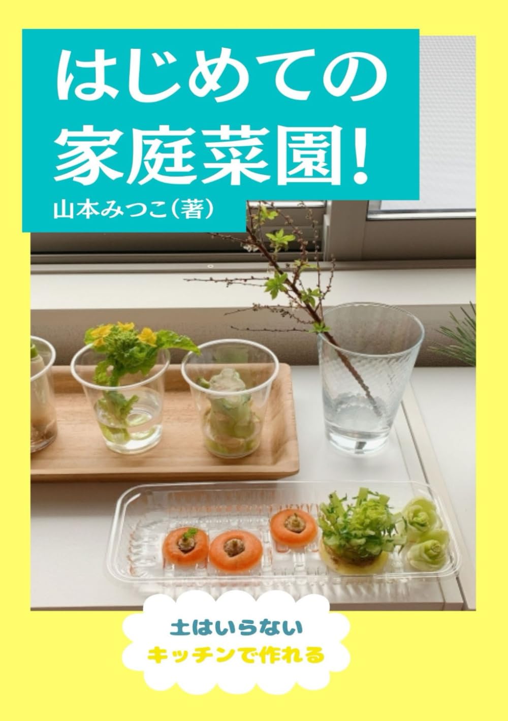 水耕栽培キット 初心者セット 家庭菜園 再生野菜 キッチン栽培 土不要 室内 野菜作...