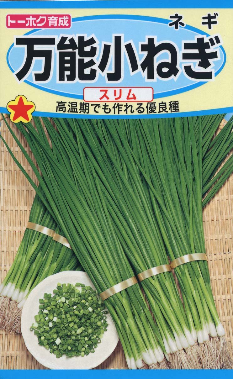 葉ネギ 種 7ml 春まき用 万能小ネギ スリムタイプ 緑色 野菜の種 ガーデニング 家庭菜園 発芽率80% 種まき 栽培用 ネギの種 小ネギ栽培 園芸用 種子