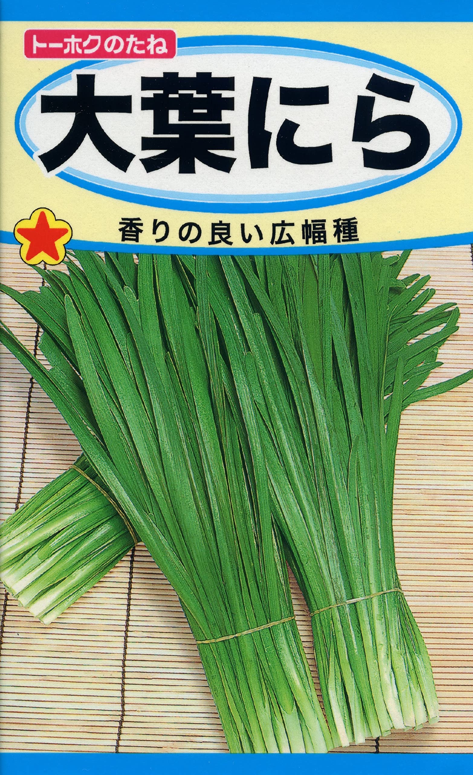 大葉にら 種 5ml 春秋まき 野菜の種 ニラ種子 栽培用 家庭菜園 ガーデニング プランター栽培 発芽率70% 葉ニラ 栄養豊富 薬味 野菜作り 園芸用品 種子