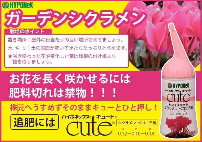 ハイポネックス キュート シクラメン・ベゴニア...の紹介画像3