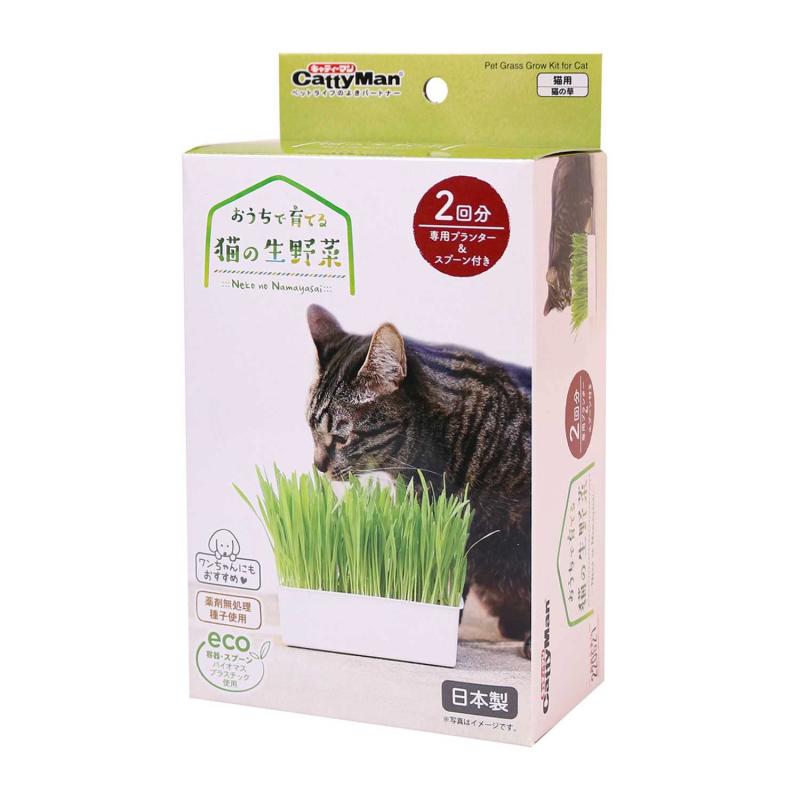 おうちで育てる 猫の生野菜